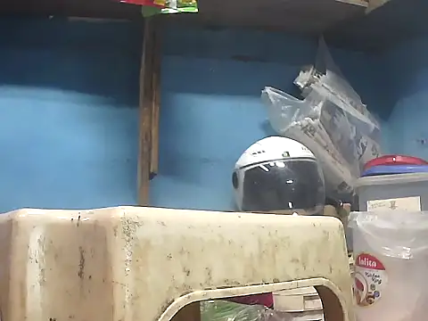 Show webcam de Precumking1