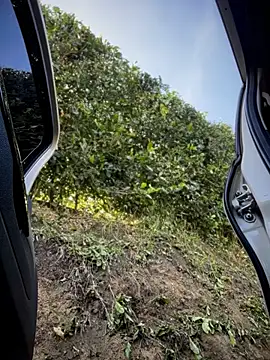 sammyqueenx21 라이브 XXX 채팅