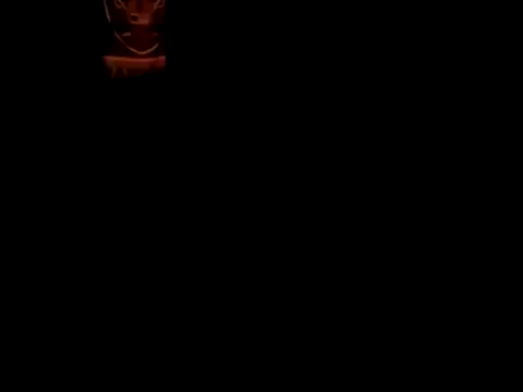 Blkstylion Webcam show