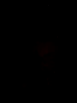 BaoHan22's Live XXX Chat