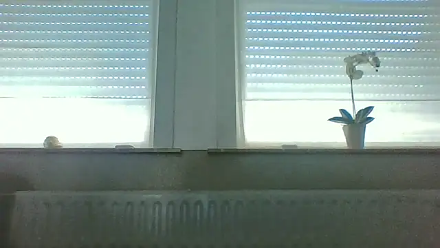 bertolini live XXX chat