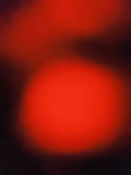 velen_09 webkamerás műsora