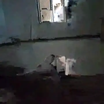 Show webcam de Devilinyou1