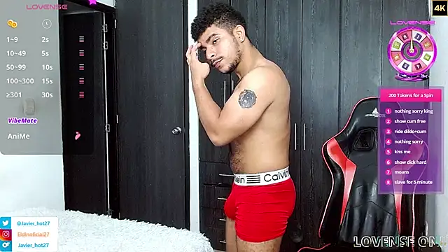 Show webcam de Javier_Hot27_