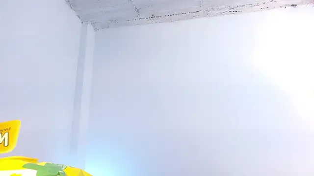 Elle_Lee_n Webbikameraesitys