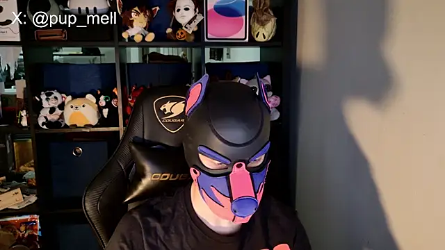 Show modela MellPUP na web-kameri
