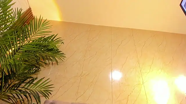 แชท XXX สดของ Pavo_tv