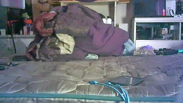Show webcam de CR3M3_FIR3