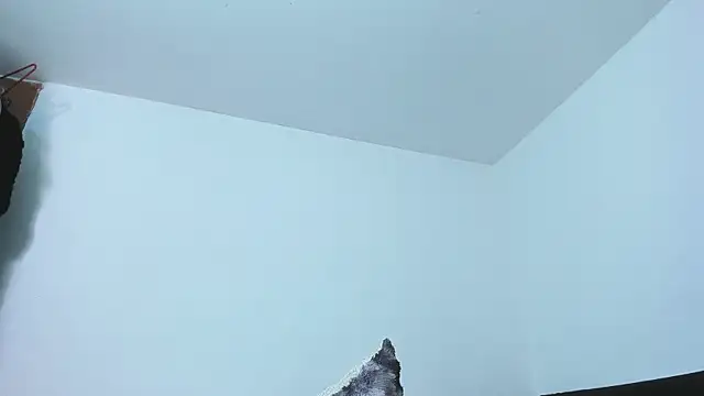 Chat XXX Live 77Neferkitty77