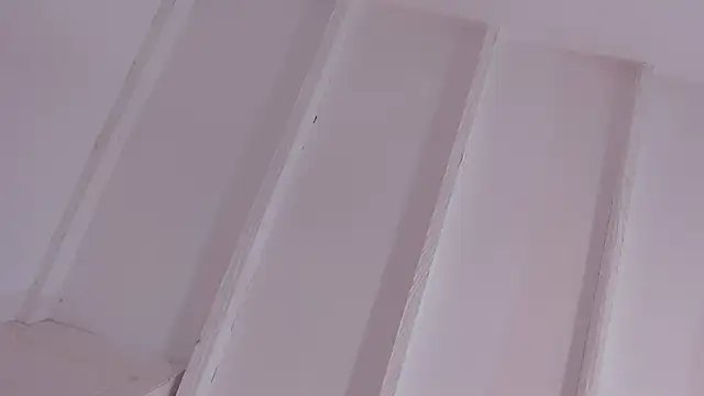 EvelynBlak1 লাইভ XXX চ্যাট