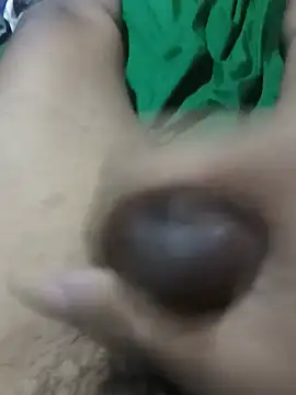 TropicalInsomnia Show Webcam