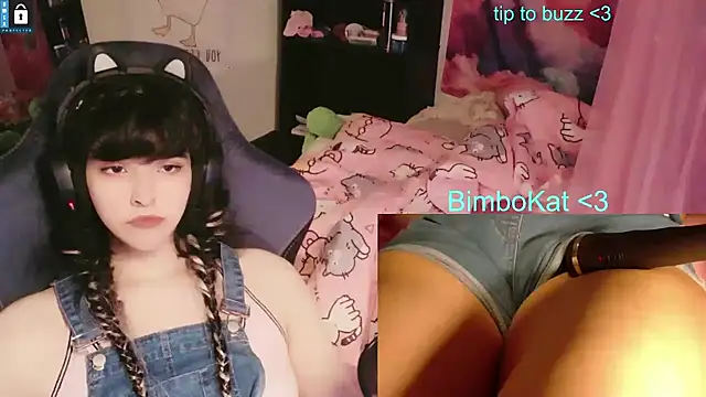 BimboCat: απευθείας συνομιλία ΧΧΧ
