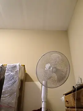 GoustL29141 webcam show