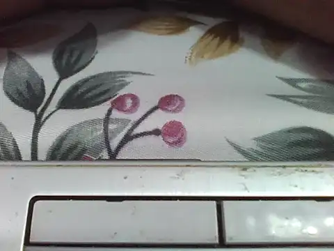 Chat XXX ao vivo de sam07422
