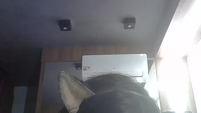 Show de webcam de SkinnyKitten