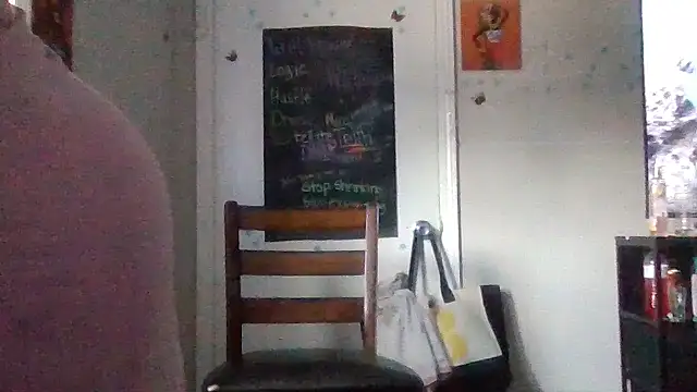Show webcam de GotCake