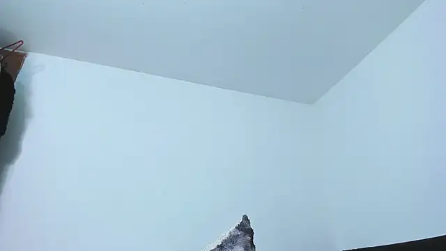 77Neferkitty77's Live XXX Chat