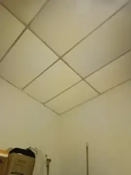 WildMatthew Live XXX-chat