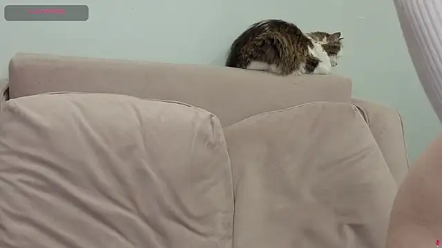 Živý XXX chat gertanord