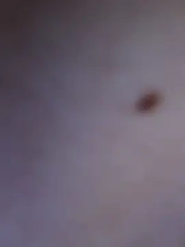 -EdisonThomas- – webcam-show