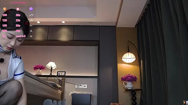 AYW-21 Show Webcam