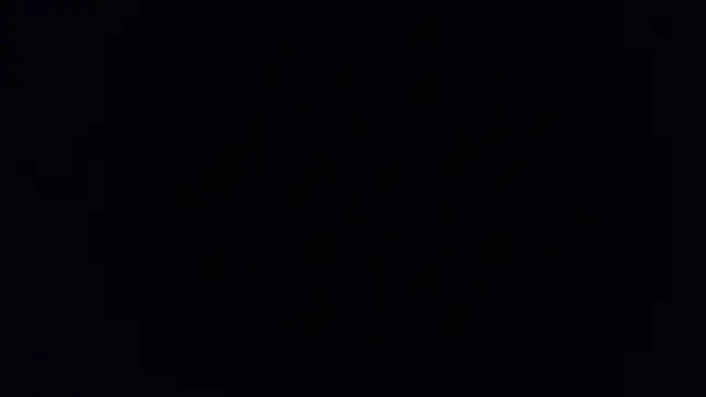 MidnightFlamen Live XXX chat