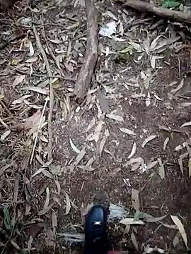 MrStreetGuy 现场XXX聊天