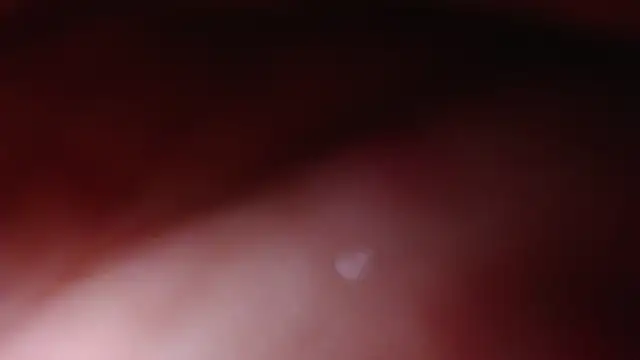 AudreyMilesTrans' Live XXX Chat