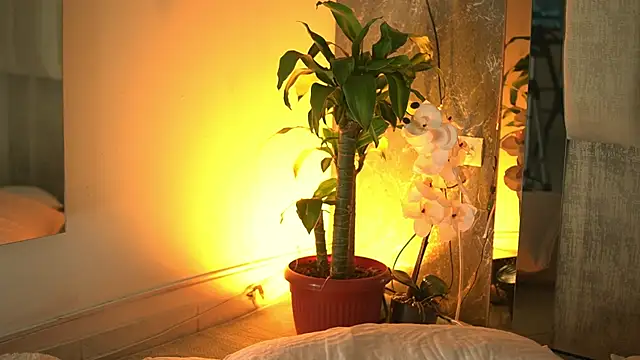 AriBloom7 Adlı Modelin Canlı XXX Sohbeti