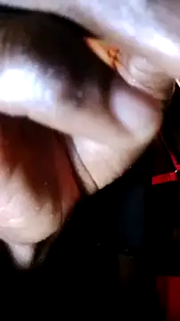 Y3ntieobiaa Live XXX-Chat