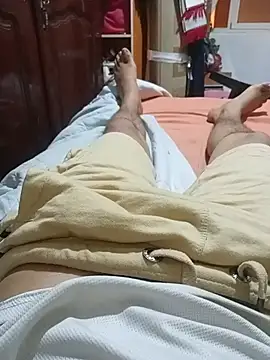 misterpanika 웹캠 쇼