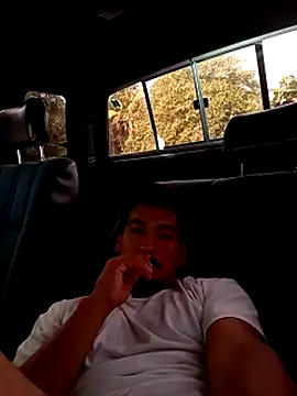 stefamholmes' Live XXX Chat