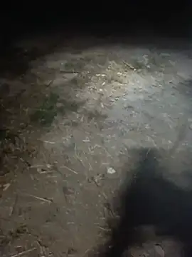 Chat XXX Live common47