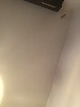 demongentil Show in webcam