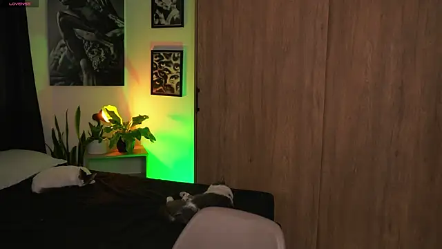 Jhonnyx__n Webbikameraesitys