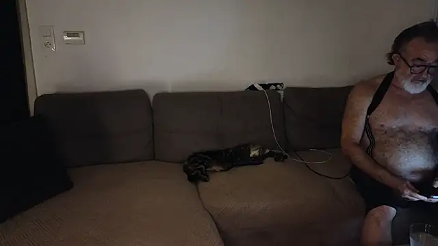 Steve_and_Kevinのウェブカメラショー