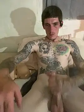 Show webcam de dkub93