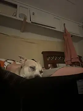 SexyB214's Live XXX Chat