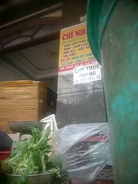 traiwe06 ওয়েবক্যাম শো