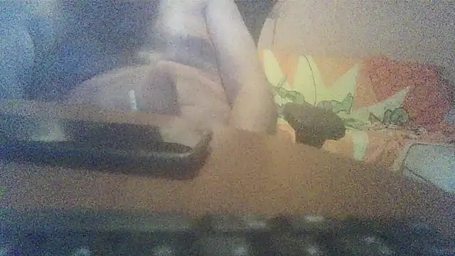 lanata Webcam show
