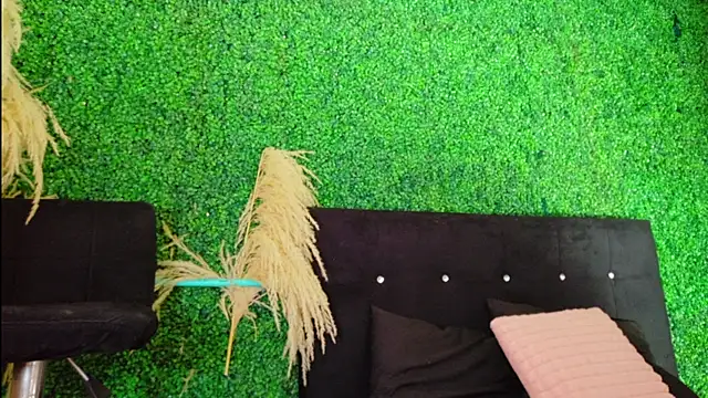 Chatroom XXX en direct de Noah_Brookss