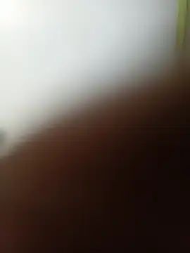 Show Webcam de Prikev38452