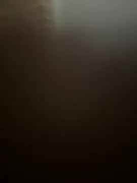 PierPesaroX Webcam show