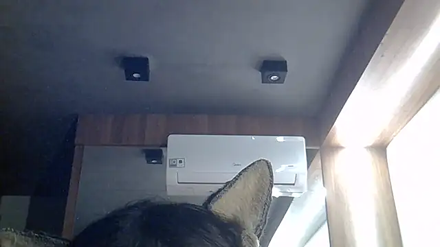 Chat +18 de SkinnyKitten ao vivo
