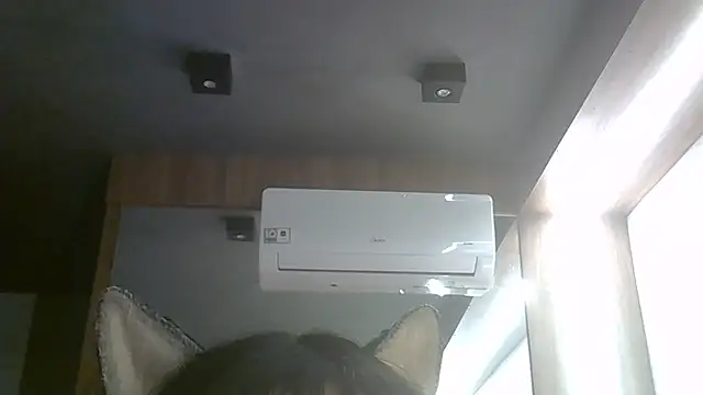Show de SkinnyKitten na webcam