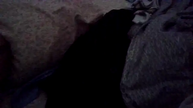 LaMaterialista Webcam show