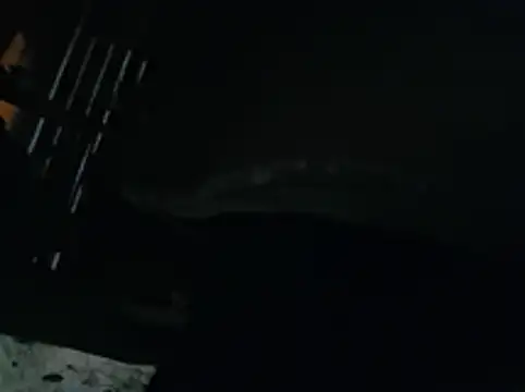 Show webcam de Toycockhot