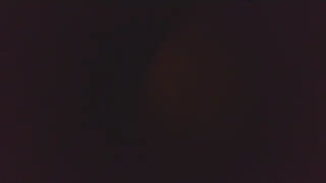 Daniel_Sterling 即時 XXX 聊天