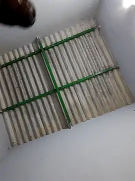 Tamil_Hot_HoneyBee 现场XXX聊天
