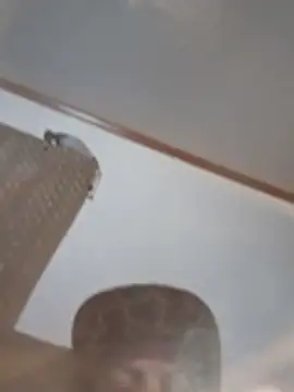 Živý XXX chat longerFellow
